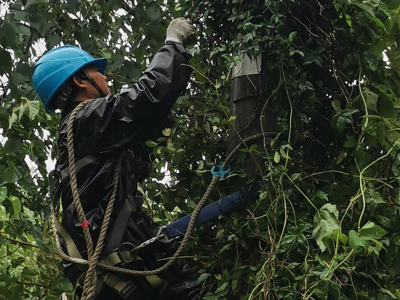 為戰(zhàn)臺(tái)風(fēng)保供電，創(chuàng)輝電氣這樣做